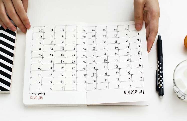 100 Days Project Planner
